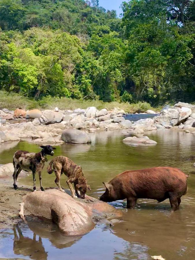 La Ponderosa Reserve Buritaca Eksteriør billede
