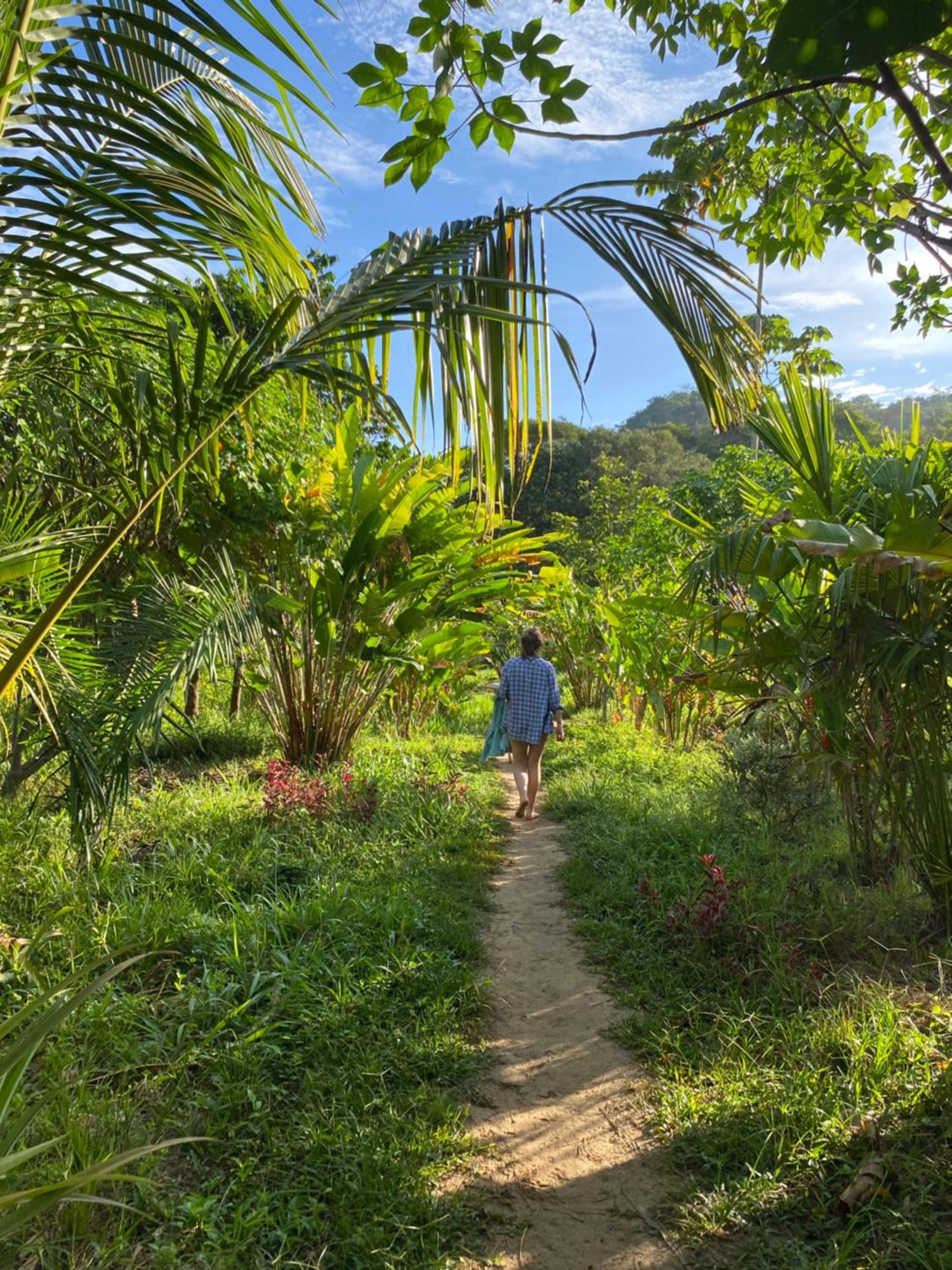 La Ponderosa Reserve Buritaca Eksteriør billede