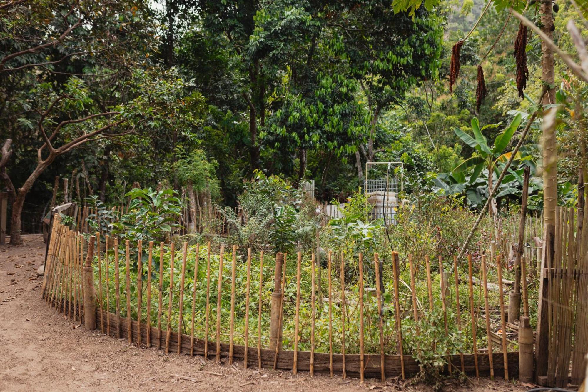 La Ponderosa Reserve Buritaca Eksteriør billede