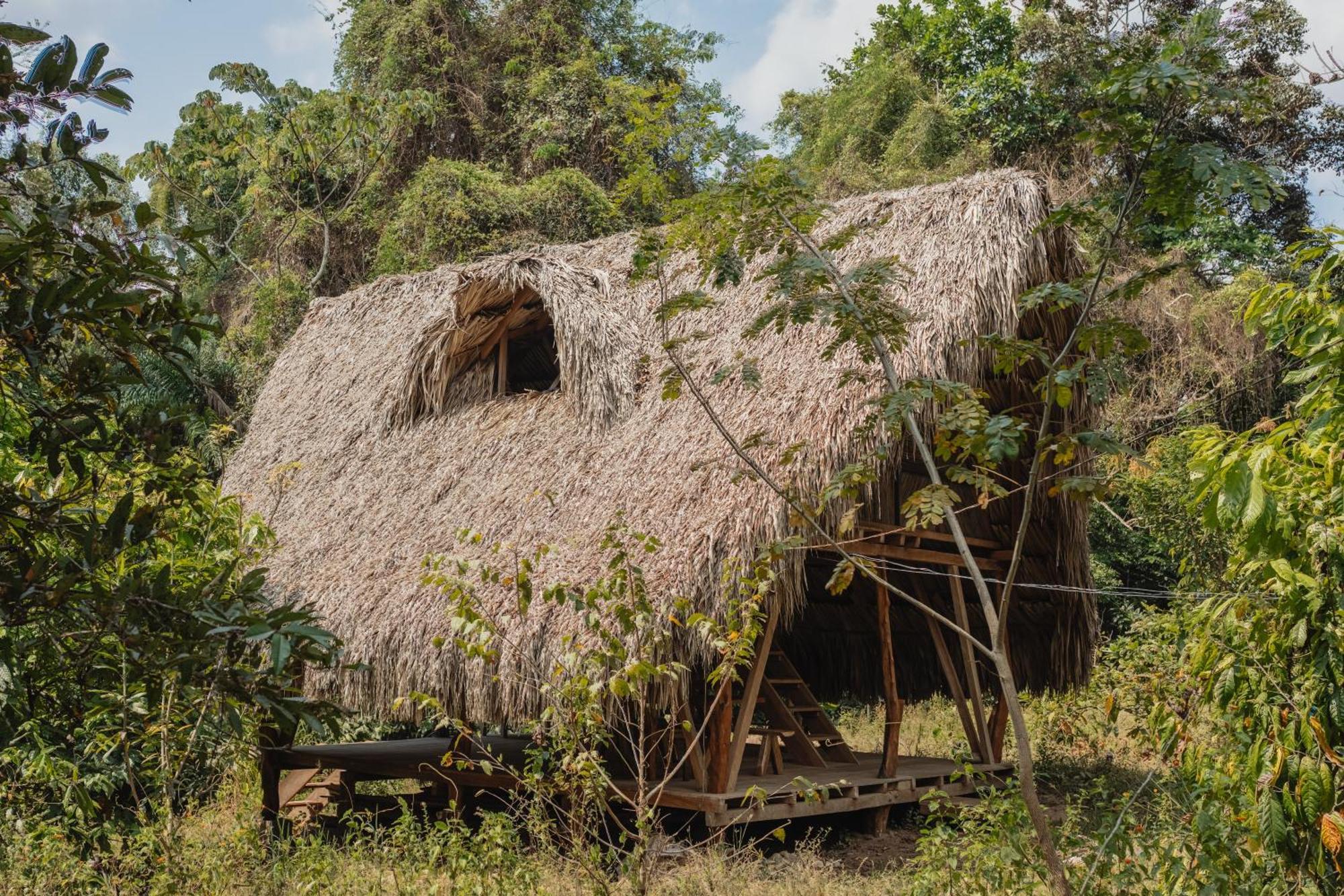 La Ponderosa Reserve Buritaca Eksteriør billede